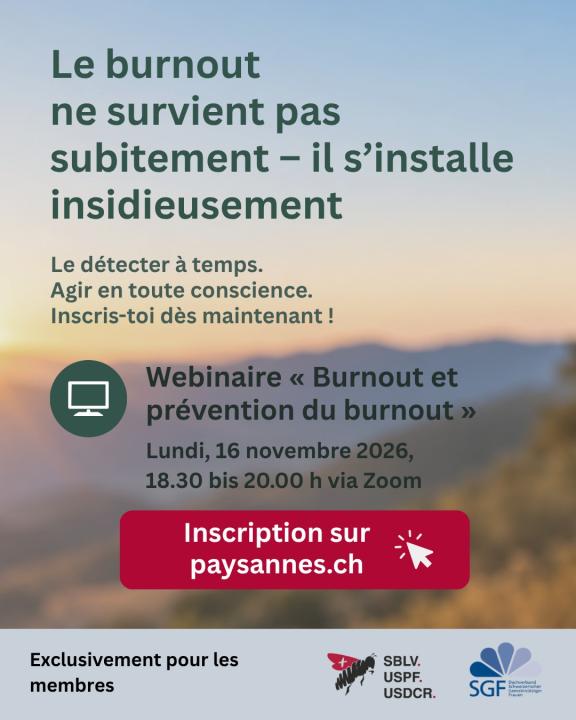 Burnout Webinar Flyer französisch
